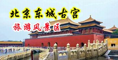 大黑机巴插大B中国北京-东城古宫旅游风景区